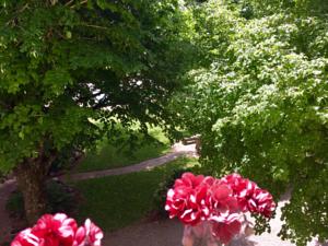 Hebergement Gites du Caylar - Chambres : Chambre Double avec Salle de Bains Privative - Vue sur Jardin