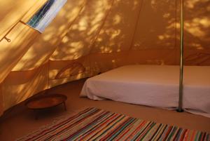 Hebergement Camping les Tournesols : photos des chambres