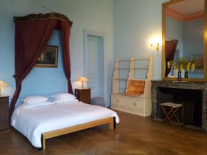 Chambres d'hotes/B&B Chateau de Villersexel : Suite