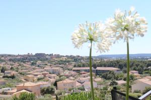 Hebergement Belle villa en Provence : photos des chambres