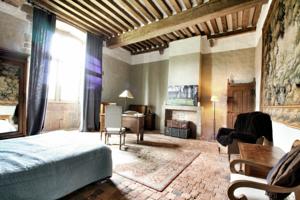 Chambres d'hotes/B&B Chateau de Bourgon : photos des chambres