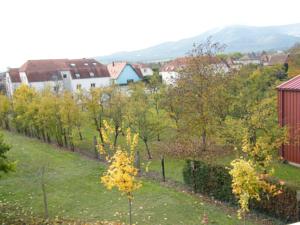 Appartement Locations Vacances Obernai : photos des chambres