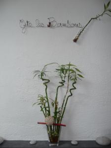 Hebergement Gite Les Bambous : photos des chambres