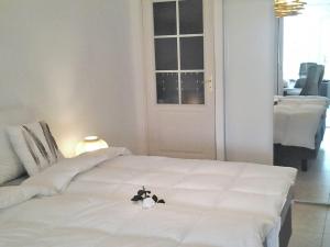 Hebergement Villa Saint-Florent : photos des chambres