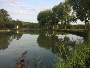 Hebergement Les Lodges du Canal de Bourgogne : photos des chambres
