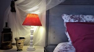 Chambres d'hotes/B&B L'Ile aux Mimosas : photos des chambres