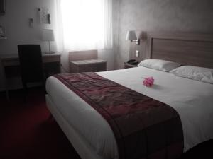Hotel Kyriad Castres : Chambre Double 