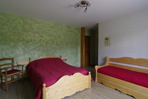 Chambres d'hotes/B&B Auberge les Volpilieres : Chambre Double 