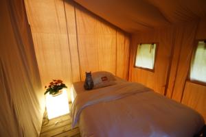 Hebergement Safari tent at Minicamping Chateau de Satenot : photos des chambres
