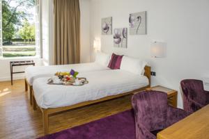 Hotel Domaine De Barres : Chambre Lits Jumeaux Confort