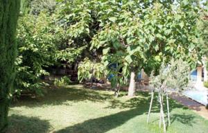 Hebergement Villa rental with pool near Avignon - South France : photos des chambres