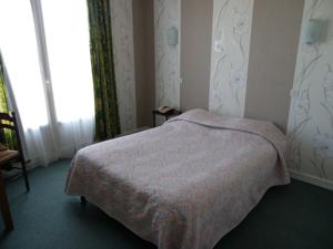 Hotel Le Lyon Vert : Chambre Double Confort