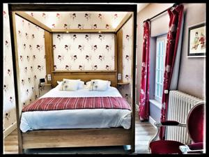 Hotel La Foret : photos des chambres