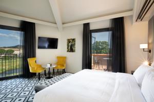 Hotel DoubleTree by Hilton Carcassonne : Chambre avec 2 Lits Doubles et Vue