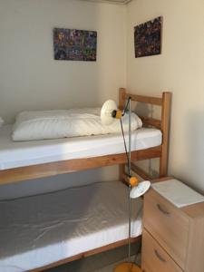 Appartement Le Temple du Soleil : photos des chambres