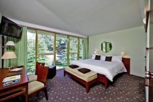 Hotel Logis des Lacs d'Halco : Chambre Double Classique