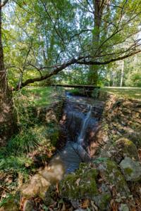 Hebergement Splendide Moulin prive, Piscine chauffee, lac, parc centenaire arbore, ruisseau : photos des chambres