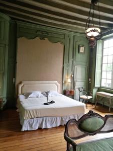 Chambres d'hotes/B&B Chateau de la Grand Maison : photos des chambres
