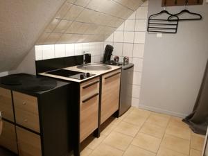 Appartement Le cigogneau-5km de Colmar : photos des chambres