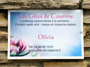 Hebergement Les Gites de Cayenne - Gite Olivia : photos des chambres