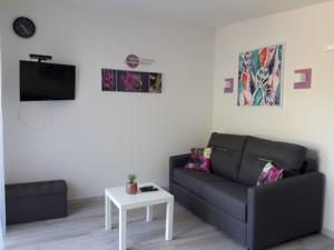 Appartement Logements Carreyrat Cadre Calme Et Verdoyant : Studio