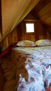 Hebergement Cabanes sur Pilotis : photos des chambres