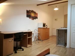 Appartement Studio mansarde a Oyonnax : photos des chambres