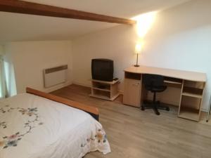 Appartement Studio mansarde a Oyonnax : photos des chambres