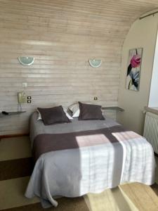 Hotel Les Montagnards : photos des chambres