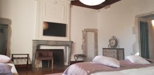 Hotel Les Chambres De La Renaissance : Suite Premier