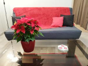 Appartement Le Fuchsia - BULLE NATURE : photos des chambres