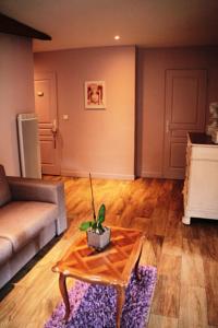Chambres d'hotes/B&B Villa Corterra Sauternes : Suite Lit Queen-Size - Vue sur Piscine