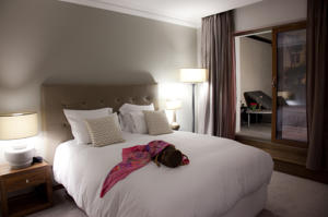 Hotel Villa C : photos des chambres