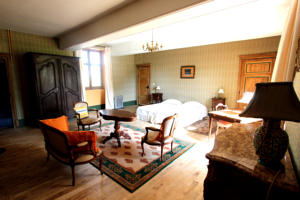Hotel Chateau d'Island Vezelay : Suite Deluxe
