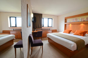 Hotel Best Western Porte Sud de Geneve : Chambre Lit King-Size Supérieure Plus Grande