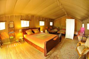Hebergement Safari Lodge du Grand Bois : photos des chambres