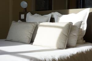 Hotel Courtille de Solutre : photos des chambres