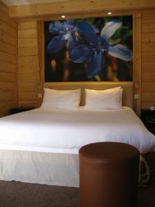 Chalet Hotel Vaccapark : Chambre Confort 
