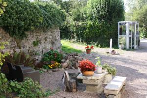 Hotel Camping Sur Yonne : Chambre Simple Standard avec Douche