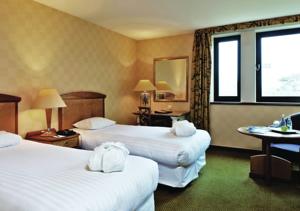 Millennium Hotel Paris Charles De Gaulle : photos des chambres
