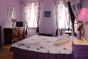 Chambres d'hotes/B&B Chateau de Villeneuve : photos des chambres