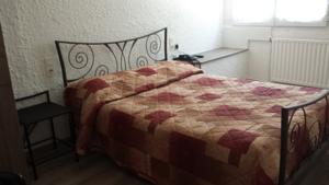 Citotel Hotel du Tigre : photos des chambres
