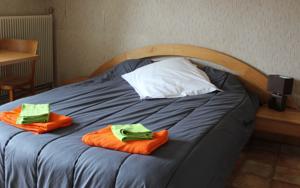 Hotel L Etoile d'Argent : photos des chambres