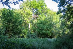 Hebergement Les Bulles du Rocher de Fontainebleau : photos des chambres