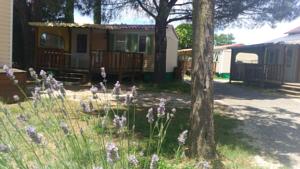 Hebergement Camping L'olivier : photos des chambres
