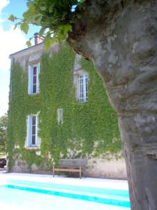 Chambres d'hotes/B&B Chateau des Grandes Vignes : photos des chambres