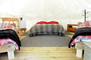 Hebergement Glamping at Camping La Source : photos des chambres