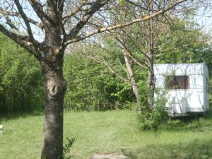 Hebergement Camping des Catoyes : photos des chambres