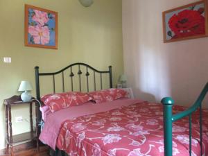 Hebergement Butterfly Cottage : photos des chambres