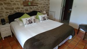Hotel La Bastie d'Urfe : photos des chambres